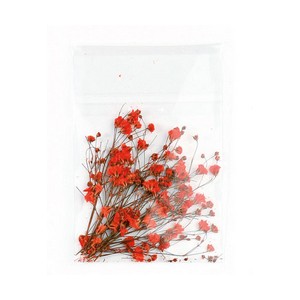 FLORES SECAS DECORACION UÑAS REF. 03