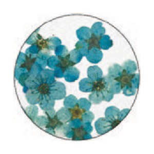 SUPERNAIL NAIL ART FLOR AZUL