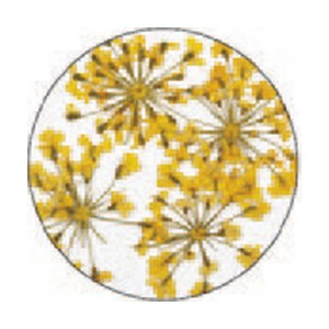 SUPERNAIL NAIL ART RAMILLETE AMARILLO